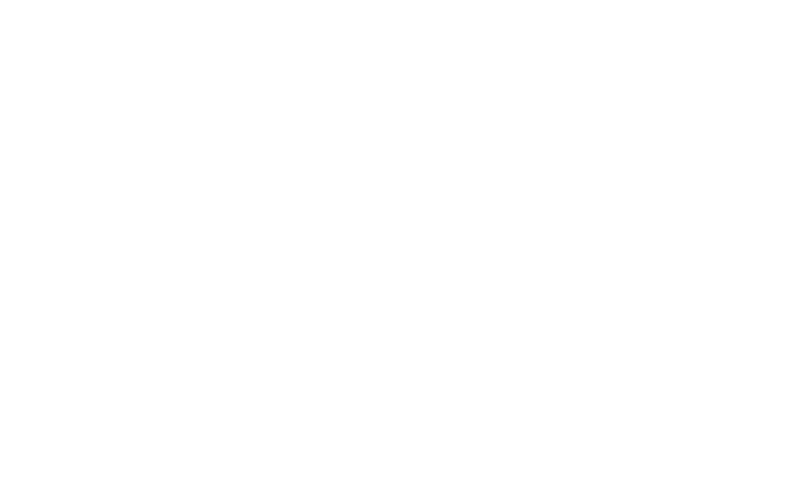 Next station logo